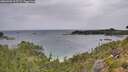 ./images/calvert/foggy-cove/20260901/foggy-cove20260901_105501M.jpg