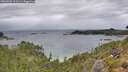 ./images/calvert/foggy-cove/20260901/foggy-cove20260901_111501M.jpg
