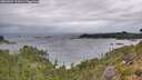 ./images/calvert/foggy-cove/20260901/foggy-cove20260901_112001M.jpg