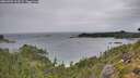 ./images/calvert/foggy-cove/20260901/foggy-cove20260901_113502M.jpg