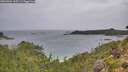 ./images/calvert/foggy-cove/20260901/foggy-cove20260901_115501M.jpg
