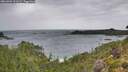 ./images/calvert/foggy-cove/20260901/foggy-cove20260901_121501M.jpg