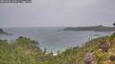 ./images/calvert/foggy-cove/20260901/foggy-cove20260901_123001M.jpg