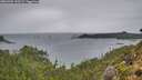 ./images/calvert/foggy-cove/20260901/foggy-cove20260901_133501M.jpg