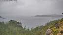 ./images/calvert/foggy-cove/20260901/foggy-cove20260901_163001M.jpg
