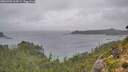 ./images/calvert/foggy-cove/20260901/foggy-cove20260901_164501M.jpg