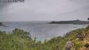 ./images/calvert/foggy-cove/20260901/foggy-cove20260901_174001M.jpg