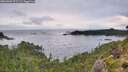 ./images/calvert/foggy-cove/20260902/foggy-cove20260902_071501M.jpg