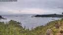 ./images/calvert/foggy-cove/20260902/foggy-cove20260902_072002M.jpg