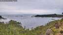 ./images/calvert/foggy-cove/20260902/foggy-cove20260902_072501M.jpg