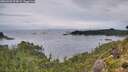 ./images/calvert/foggy-cove/20260902/foggy-cove20260902_073002M.jpg