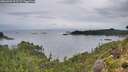 ./images/calvert/foggy-cove/20260902/foggy-cove20260902_073501M.jpg