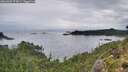./images/calvert/foggy-cove/20260902/foggy-cove20260902_074501M.jpg