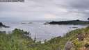 ./images/calvert/foggy-cove/20260902/foggy-cove20260902_075001M.jpg