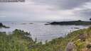 ./images/calvert/foggy-cove/20260902/foggy-cove20260902_075501M.jpg