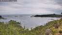 ./images/calvert/foggy-cove/20260902/foggy-cove20260902_081001M.jpg