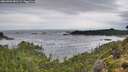 ./images/calvert/foggy-cove/20260902/foggy-cove20260902_081501M.jpg