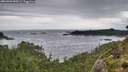 ./images/calvert/foggy-cove/20260902/foggy-cove20260902_082002M.jpg