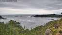 ./images/calvert/foggy-cove/20260902/foggy-cove20260902_082501M.jpg