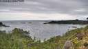 ./images/calvert/foggy-cove/20260902/foggy-cove20260902_083001M.jpg