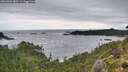 ./images/calvert/foggy-cove/20260902/foggy-cove20260902_083501M.jpg