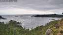 ./images/calvert/foggy-cove/20260902/foggy-cove20260902_084001M.jpg