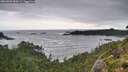 ./images/calvert/foggy-cove/20260902/foggy-cove20260902_084501M.jpg