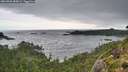 ./images/calvert/foggy-cove/20260902/foggy-cove20260902_085001M.jpg