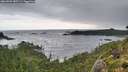 ./images/calvert/foggy-cove/20260902/foggy-cove20260902_085501M.jpg