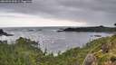 ./images/calvert/foggy-cove/20260902/foggy-cove20260902_090001M.jpg