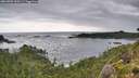 ./images/calvert/foggy-cove/20260902/foggy-cove20260902_090501M.jpg