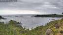 ./images/calvert/foggy-cove/20260902/foggy-cove20260902_091001M.jpg