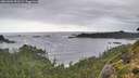 ./images/calvert/foggy-cove/20260902/foggy-cove20260902_091501M.jpg