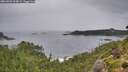 ./images/calvert/foggy-cove/20260902/foggy-cove20260902_094001M.jpg