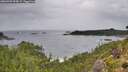 ./images/calvert/foggy-cove/20260902/foggy-cove20260902_094501M.jpg