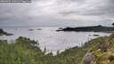 ./images/calvert/foggy-cove/20260902/foggy-cove20260902_100002M.jpg