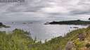 ./images/calvert/foggy-cove/20260902/foggy-cove20260902_102001M.jpg