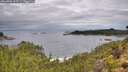 ./images/calvert/foggy-cove/20260902/foggy-cove20260902_105501M.jpg