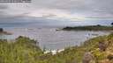 ./images/calvert/foggy-cove/20260902/foggy-cove20260902_111001M.jpg