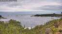 ./images/calvert/foggy-cove/20260902/foggy-cove20260902_113001M.jpg
