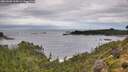./images/calvert/foggy-cove/20260902/foggy-cove20260902_115001M.jpg