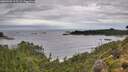 ./images/calvert/foggy-cove/20260902/foggy-cove20260902_115501M.jpg