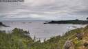 ./images/calvert/foggy-cove/20260902/foggy-cove20260902_121001M.jpg