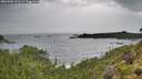 ./images/calvert/foggy-cove/20260902/foggy-cove20260902_123501M.jpg
