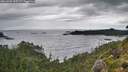 ./images/calvert/foggy-cove/20260902/foggy-cove20260902_125501M.jpg