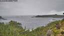./images/calvert/foggy-cove/20260902/foggy-cove20260902_130501M.jpg