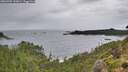 ./images/calvert/foggy-cove/20260902/foggy-cove20260902_132001M.jpg