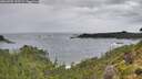 ./images/calvert/foggy-cove/20260902/foggy-cove20260902_132501M.jpg