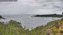 ./images/calvert/foggy-cove/20260902/foggy-cove20260902_133002M.jpg