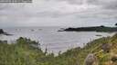./images/calvert/foggy-cove/20260902/foggy-cove20260902_134501M.jpg